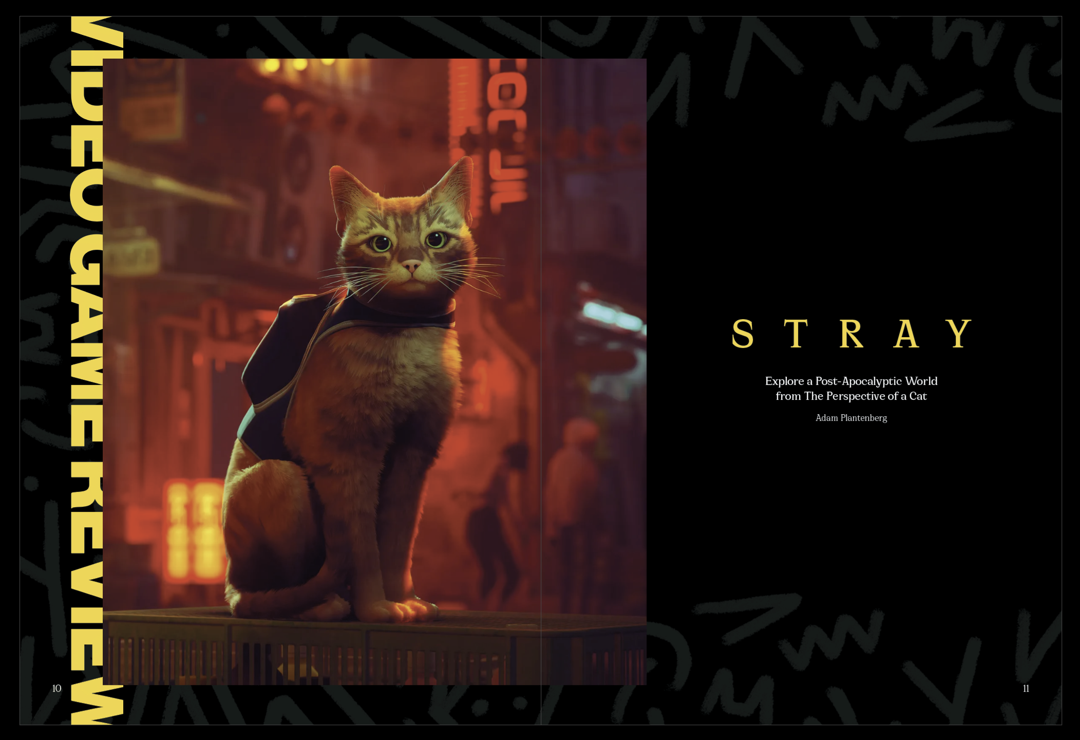 the first spread in the stray review